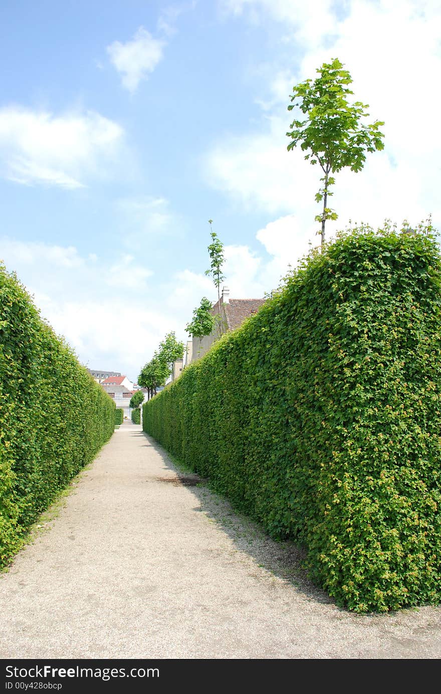 Path In Park