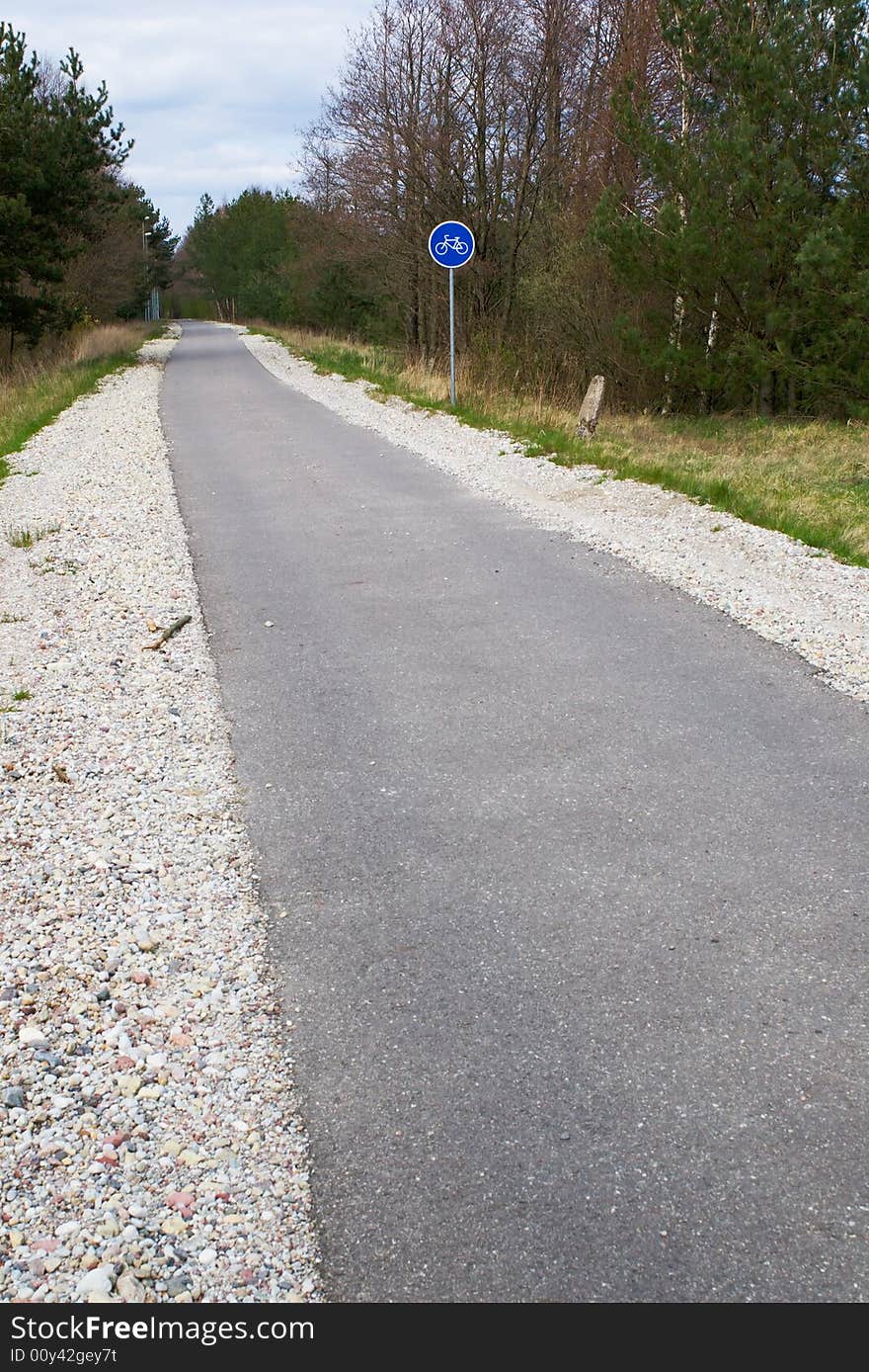 Bicycle path in the spring forest. Bicycle path in the spring forest