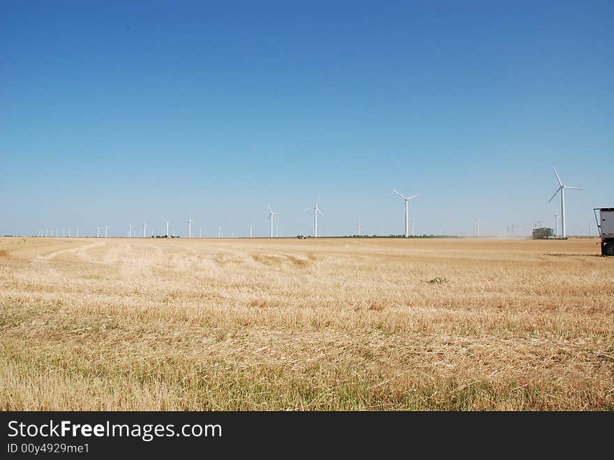 Large wheat field with many wind powered electricity generaters in the background. Also there is a combine cutting the wheat in the background along with the backend of a truck to load the wheat. Large wheat field with many wind powered electricity generaters in the background. Also there is a combine cutting the wheat in the background along with the backend of a truck to load the wheat