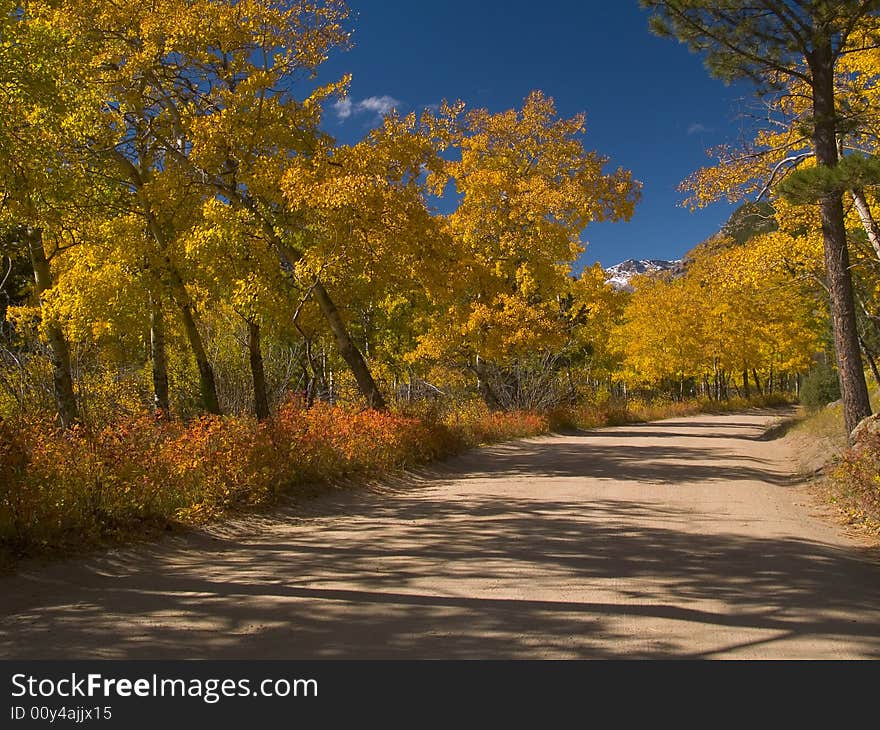 Autumn Journey