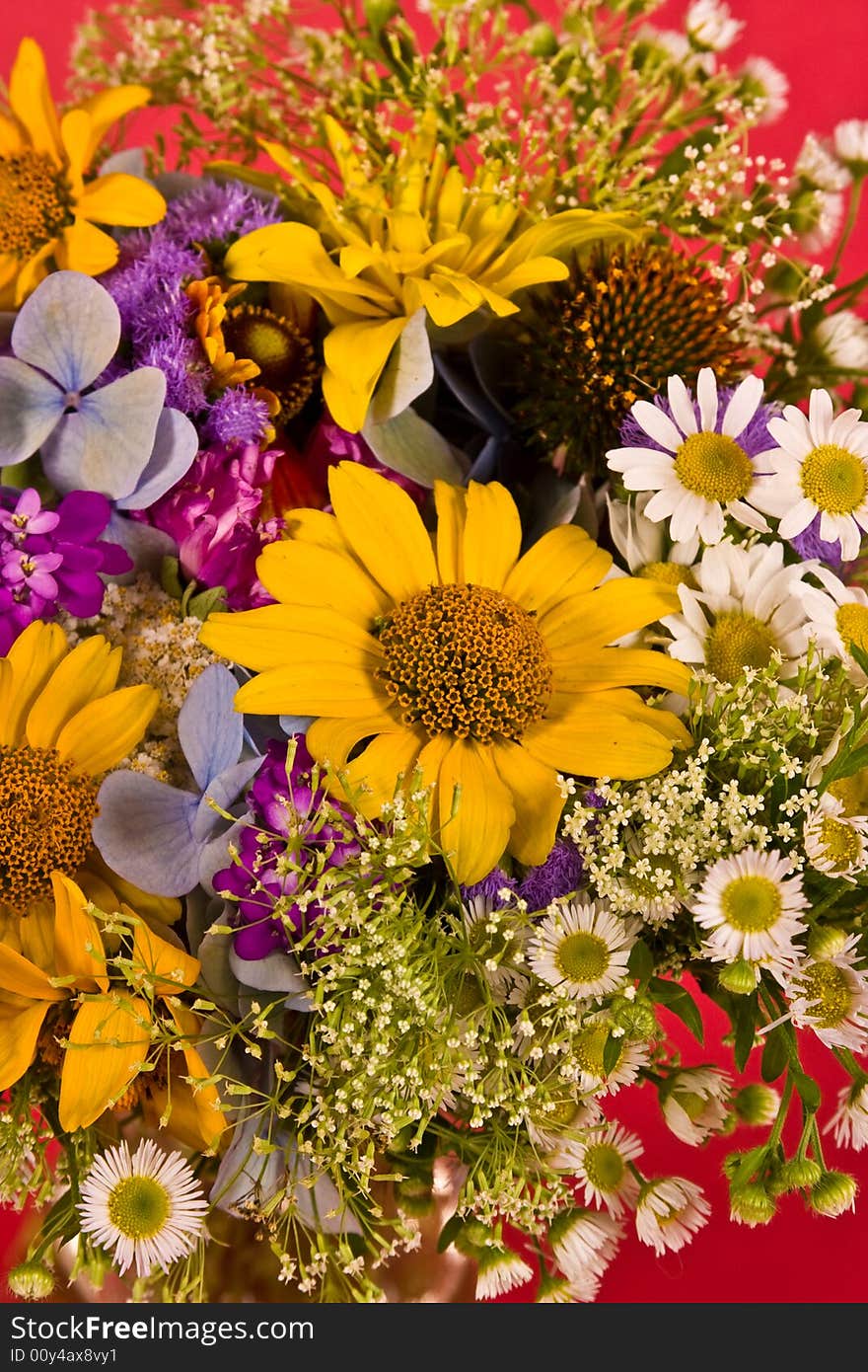 Bunch of various flowers on the red background. Bunch of various flowers on the red background