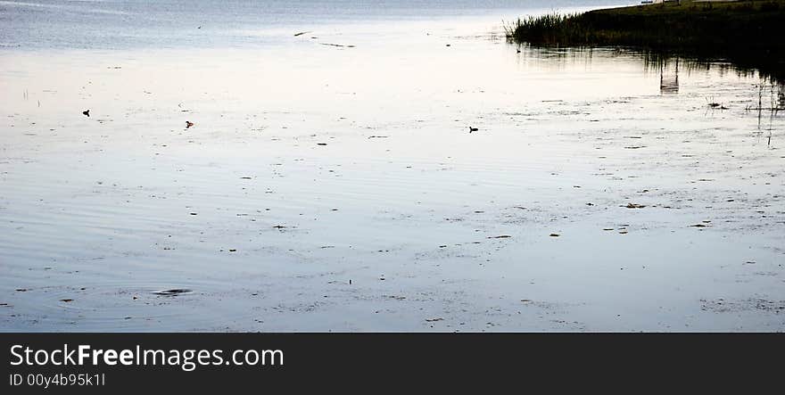 A quiet view of a pond at dawn with blue surface in gentle light (Mogan Pond, Ankara / Turkey). A quiet view of a pond at dawn with blue surface in gentle light (Mogan Pond, Ankara / Turkey)