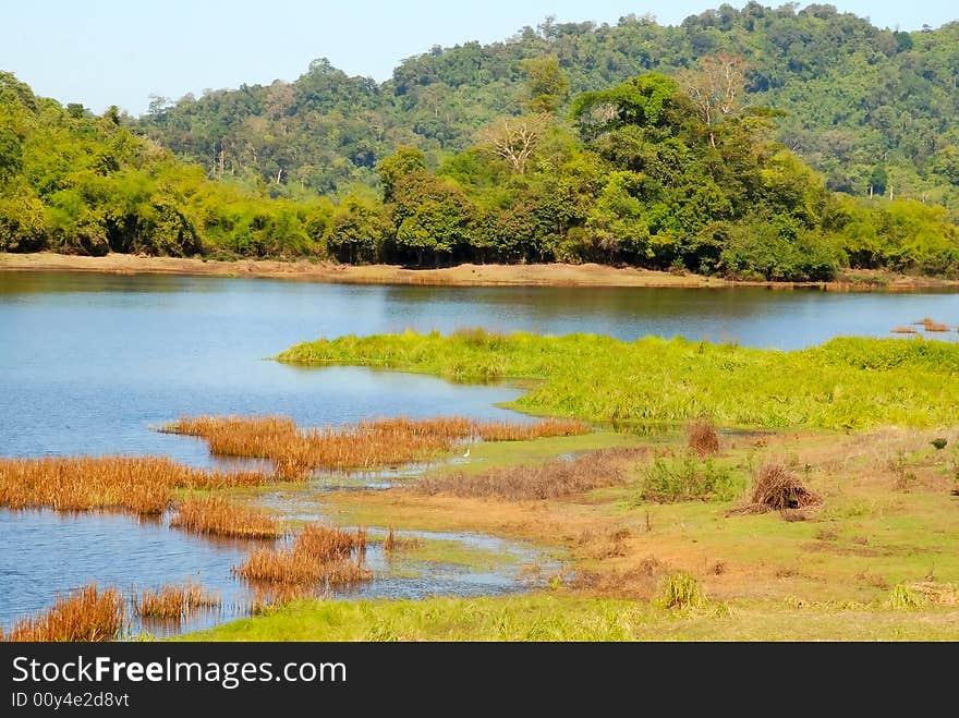 The lake in the jungle