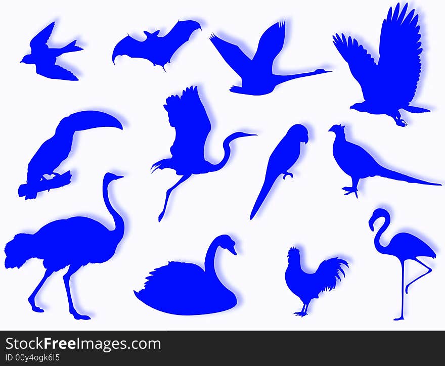 Birds silhouette