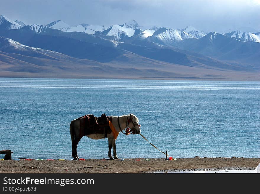 The Tibetan saint lake  salt water Namutso,an inland glacier lake of pure crystal clear water,Tiebet,China. The Tibetan saint lake  salt water Namutso,an inland glacier lake of pure crystal clear water,Tiebet,China.