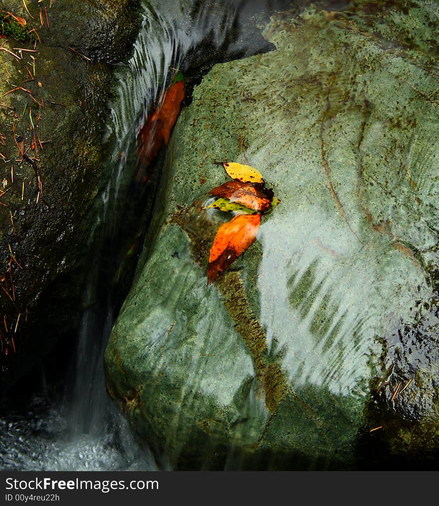 Colorful leaves on a rock bathed with a stream of water