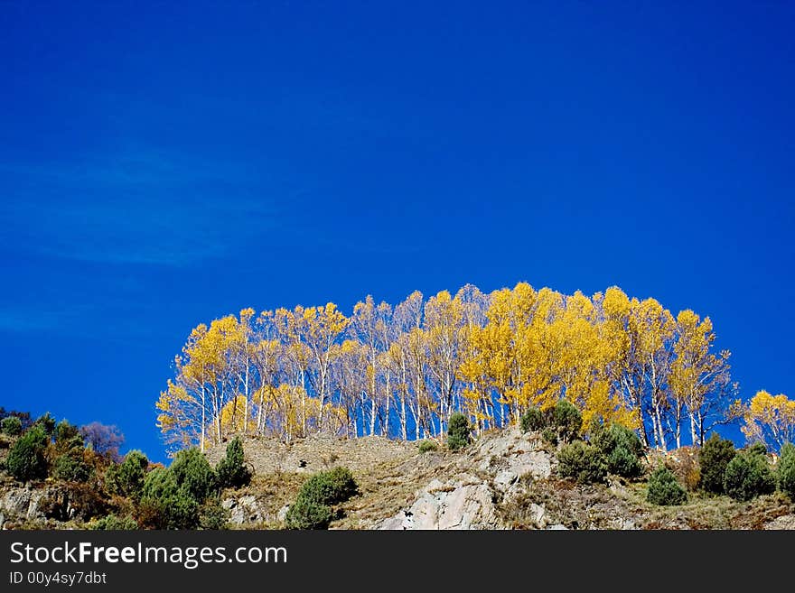 This is blue sky in tibet altiplano