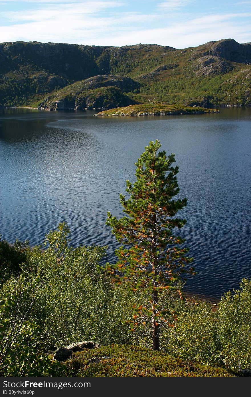 Landscape of wild fiord in norway