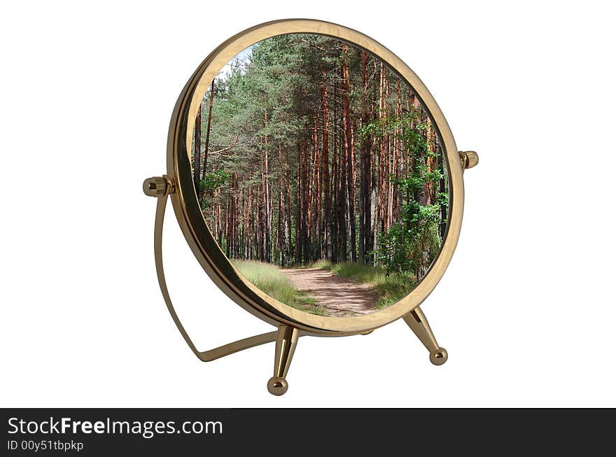 Mirror with forest