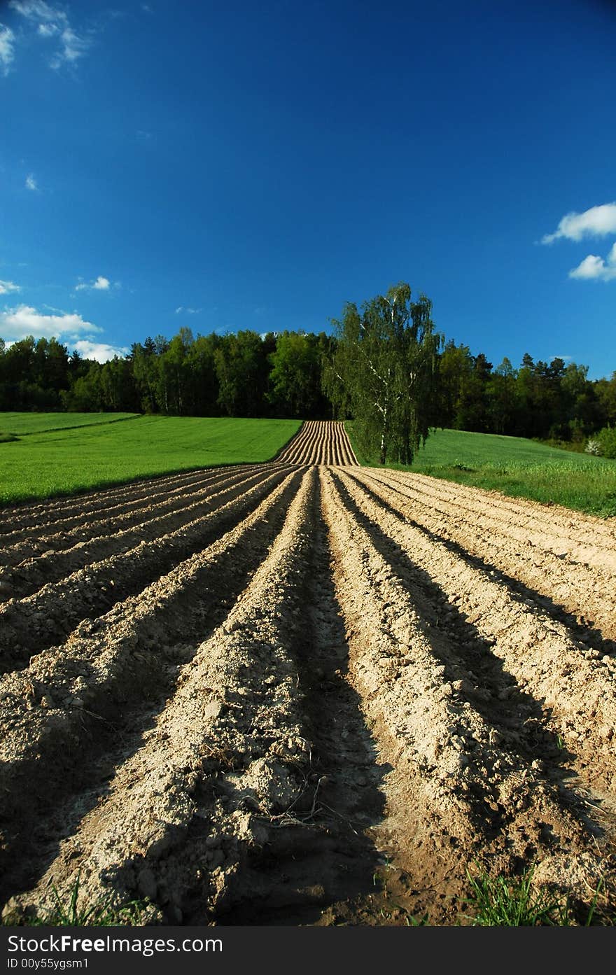 Fresh plough field in country. Fresh plough field in country