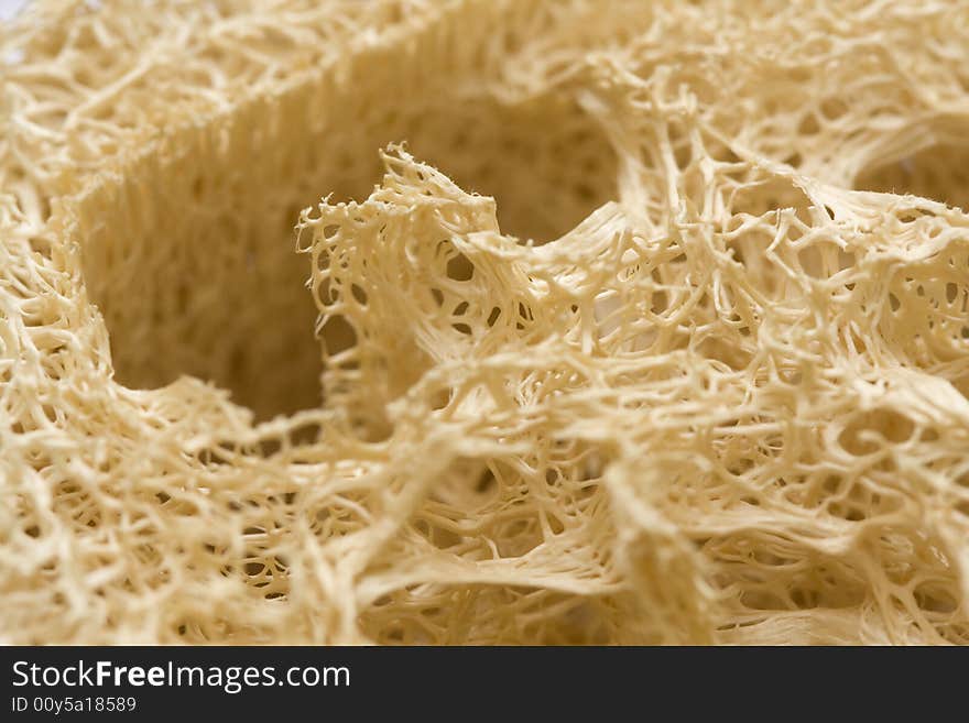 Macro shot of a loofah sponge cleaning product.