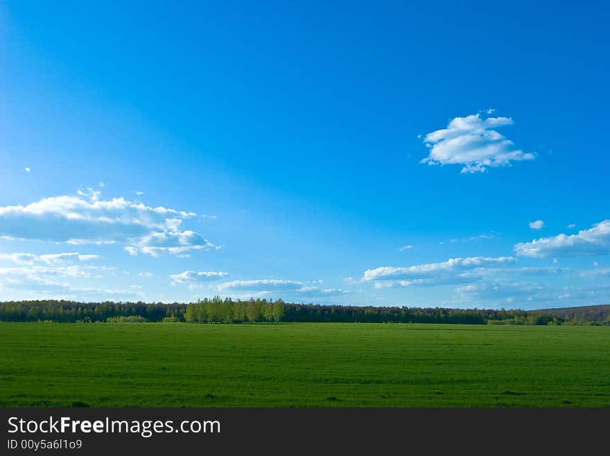 Green field landscape