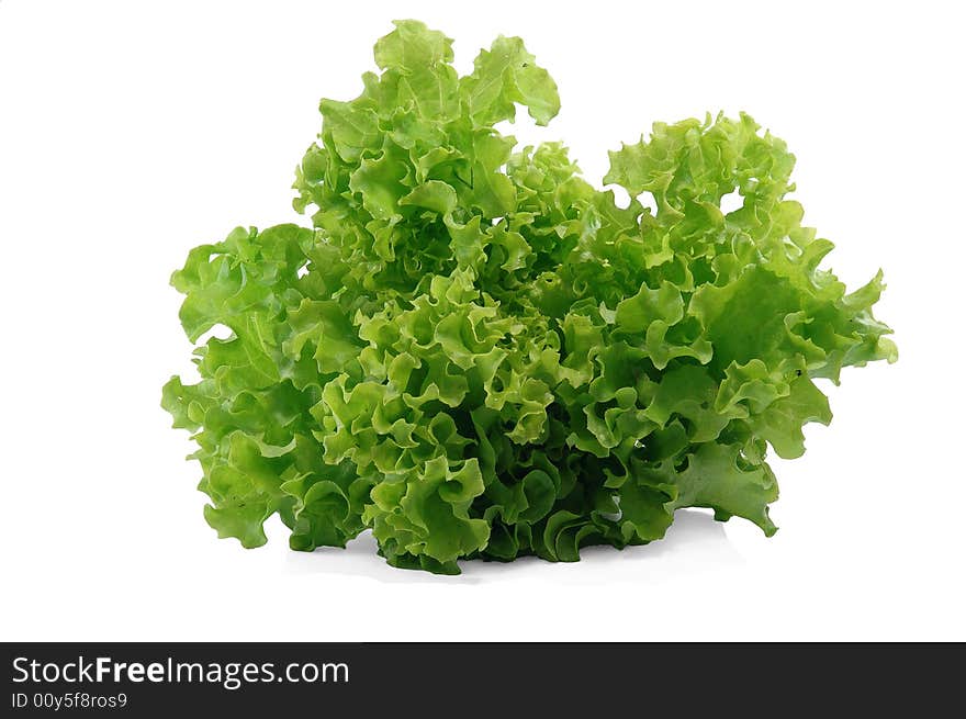 Green fresh salad on white background