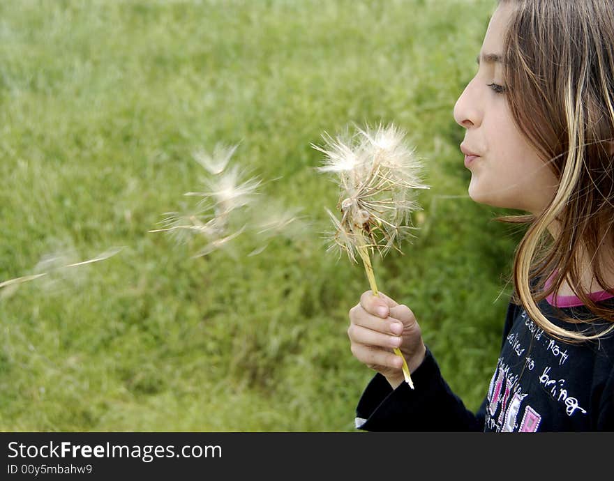 A cute little girl blowing on a dandelion.