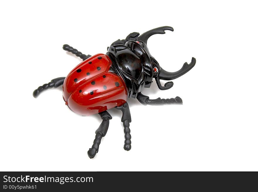 Ladybird toy