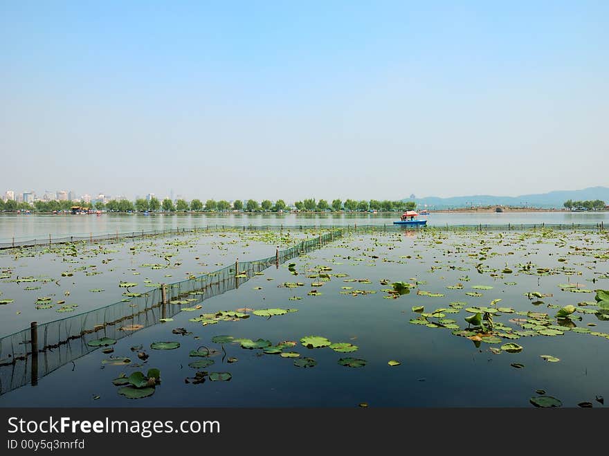 Beautiful Lake