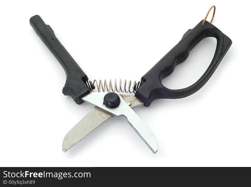 Pruning Shears.