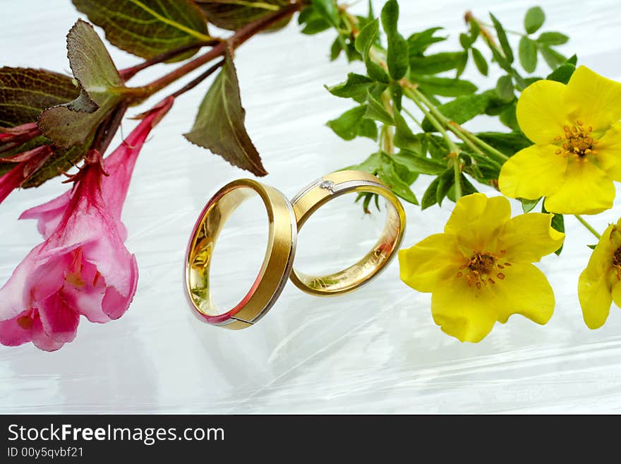 Wedding rings on a white background