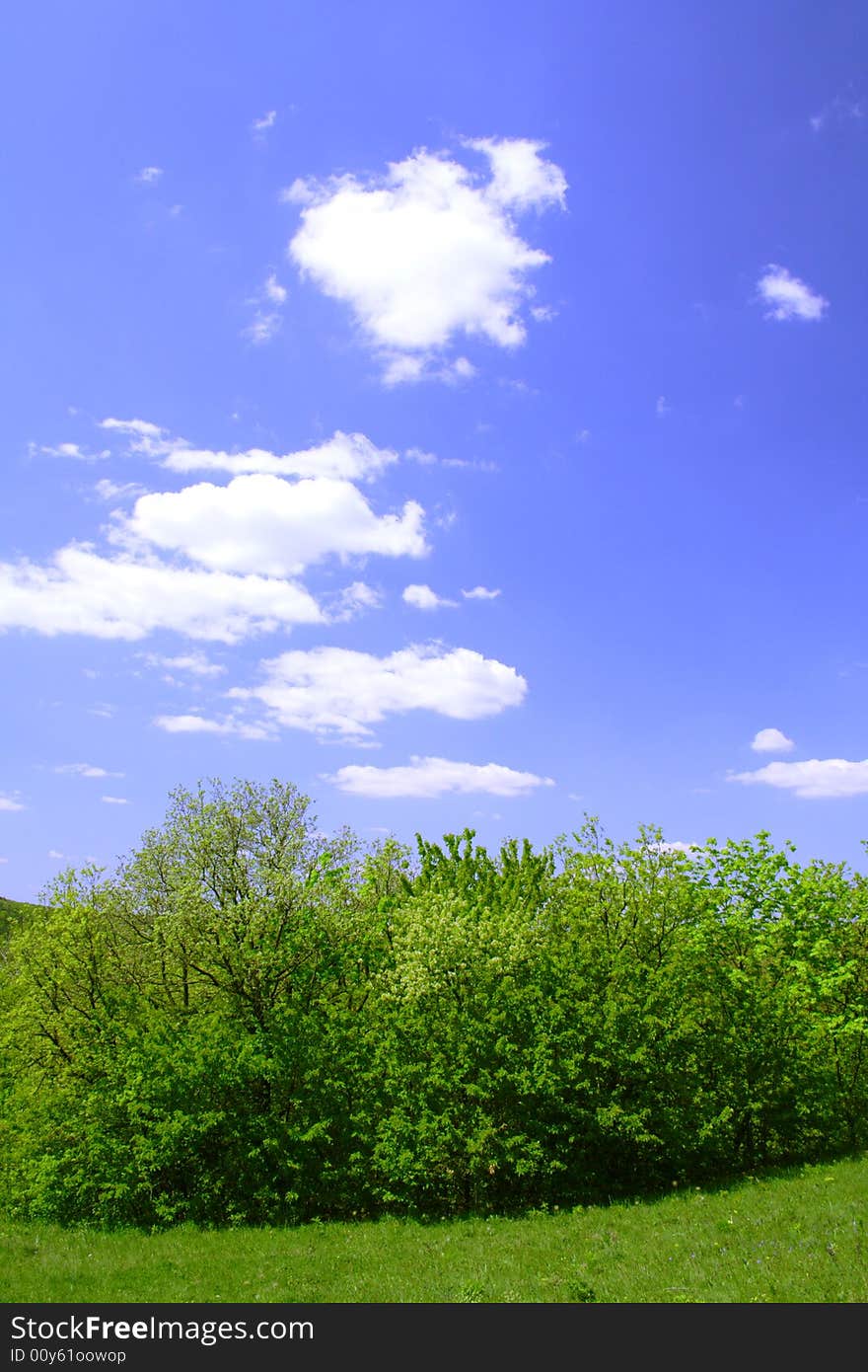 Green field and hills with blue sky and clouds. Green field and hills with blue sky and clouds