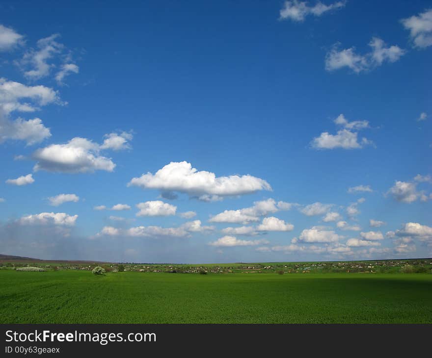 Spring rural landscape with green field