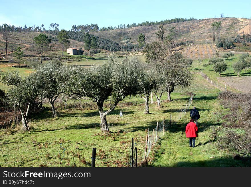 Man and woman walking in nature