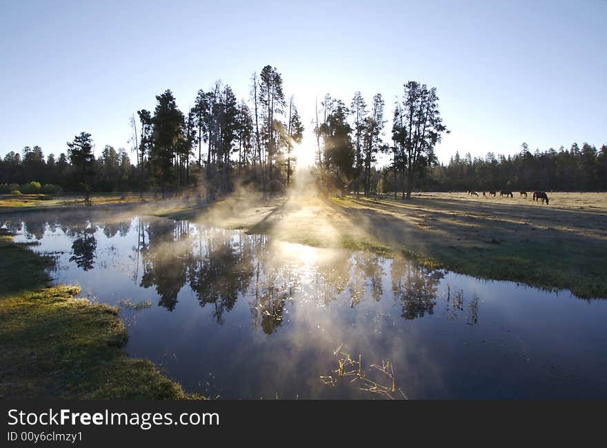 Misty Morning Sunrise