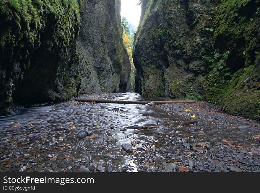 Oneonta Gorge in Northern Oregon