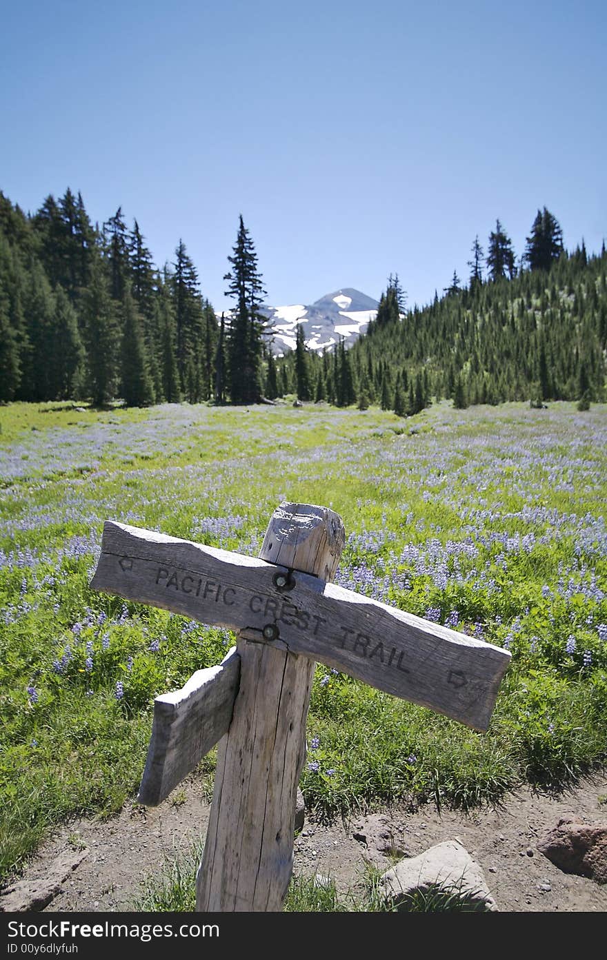 Trail marker for the Pacific Crest Trail in Oregon's Three Sisters Wilderness. Trail marker for the Pacific Crest Trail in Oregon's Three Sisters Wilderness