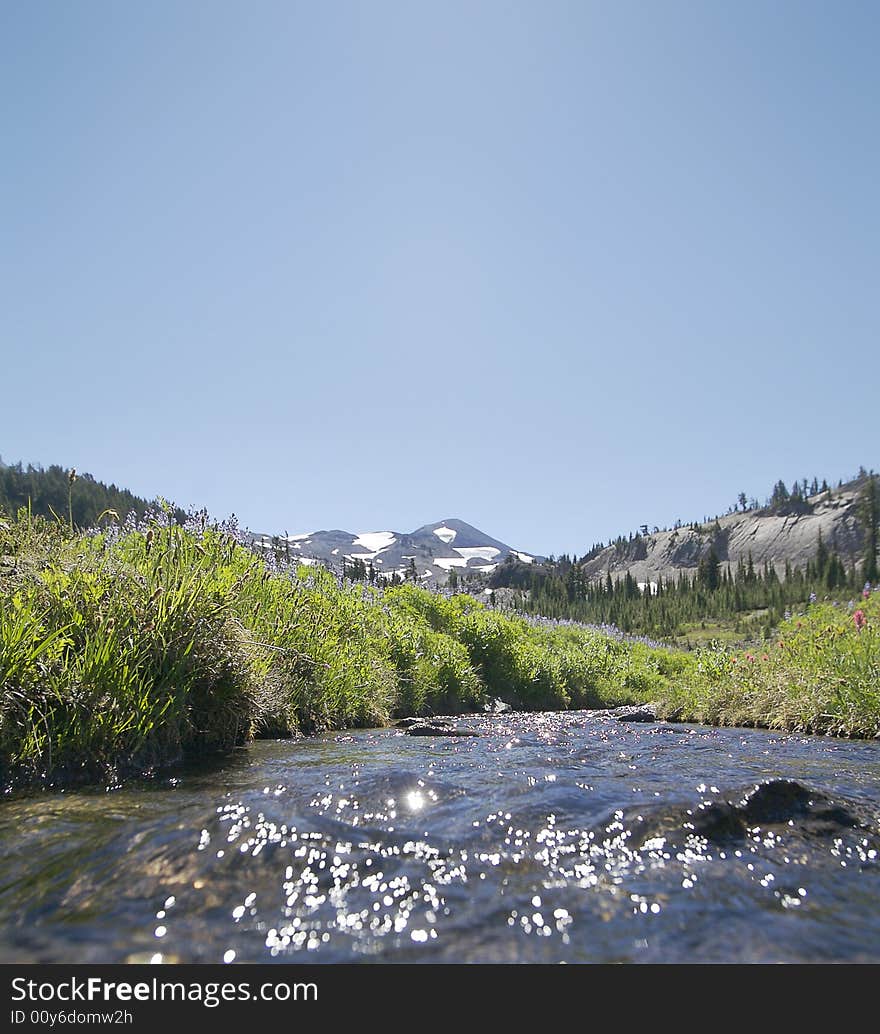 Sunshine meadow creek and the Middle Sister