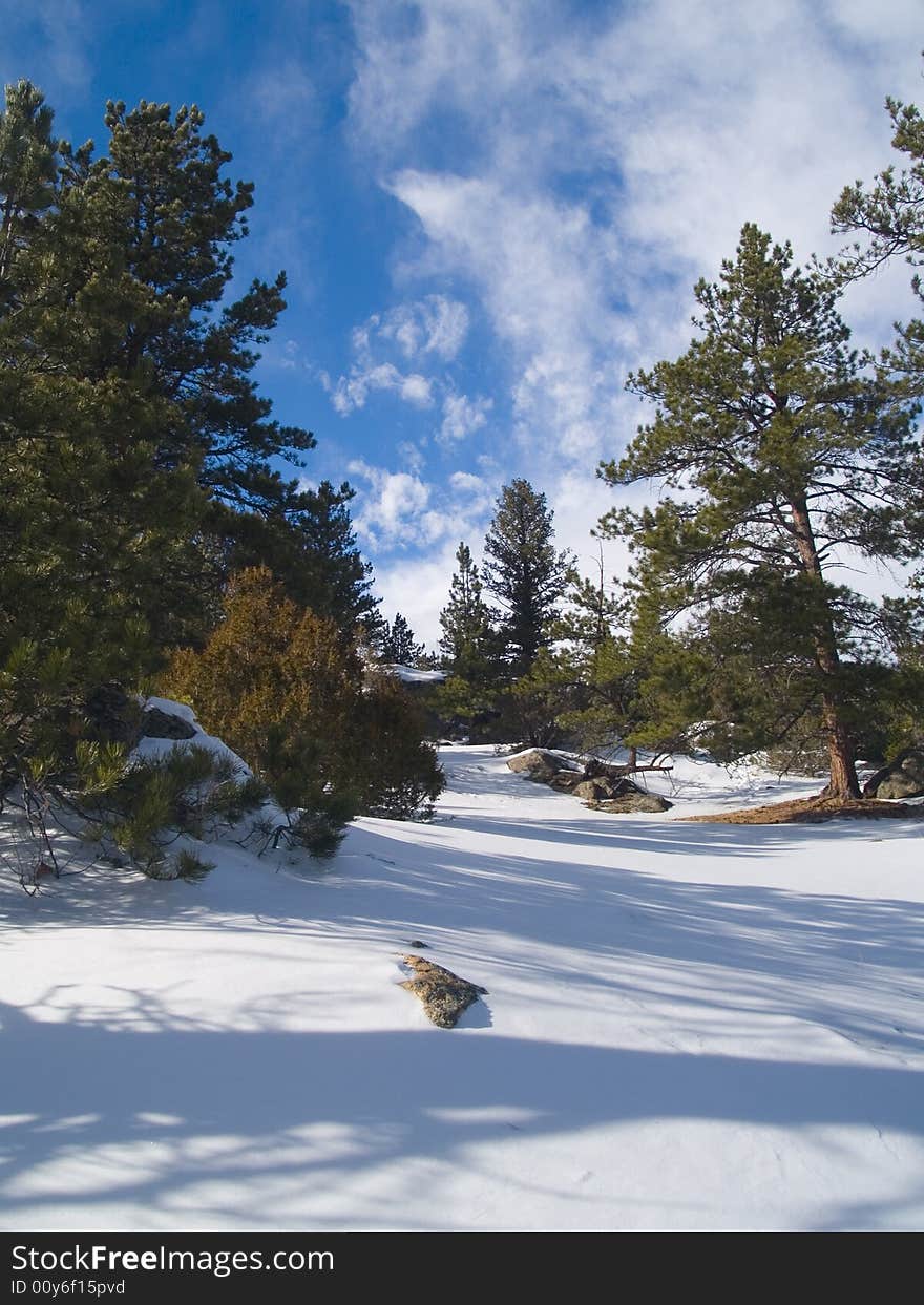 Fresh snow through a forest passage in Rocky Mountain National Park. Fresh snow through a forest passage in Rocky Mountain National Park