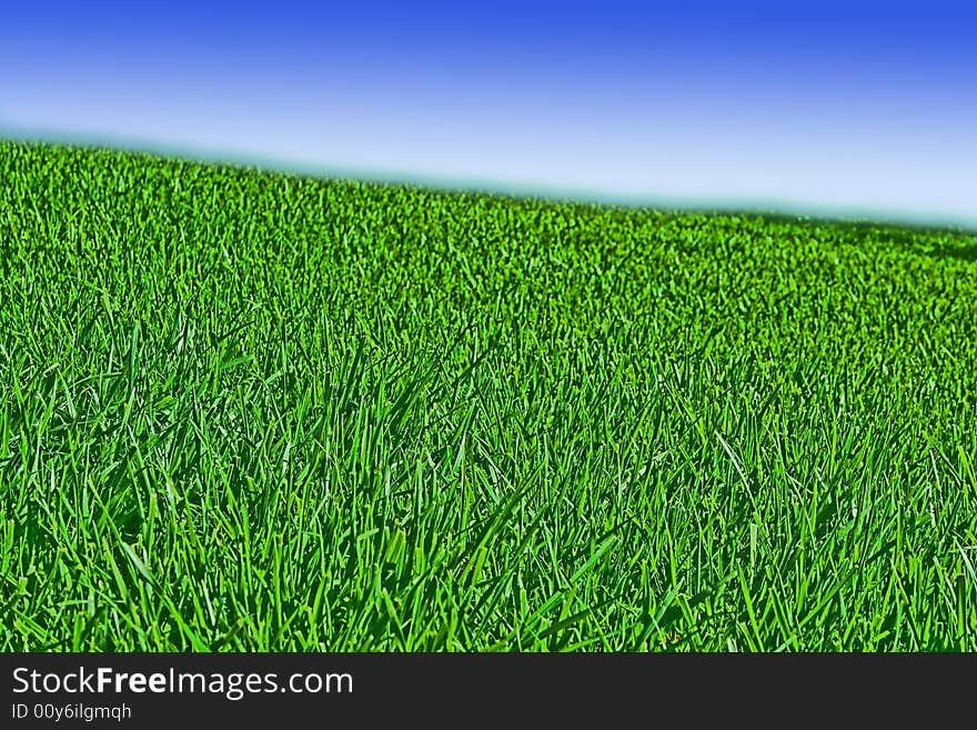 Green grass and blue sky. Green grass and blue sky