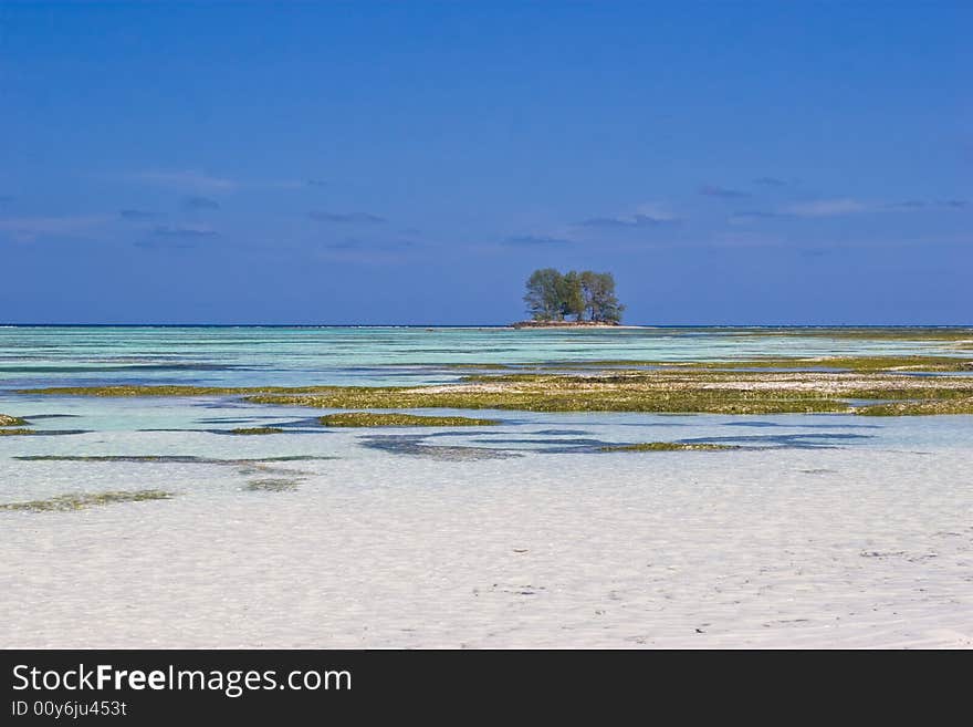 The shore of La Digue island, Seychelles. The shore of La Digue island, Seychelles