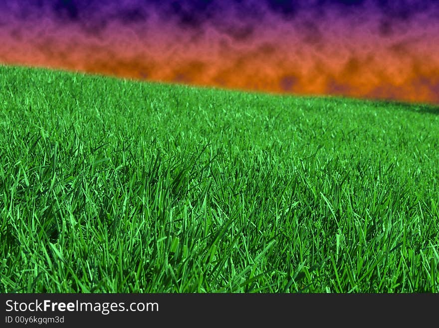 Green grass and stormy sky