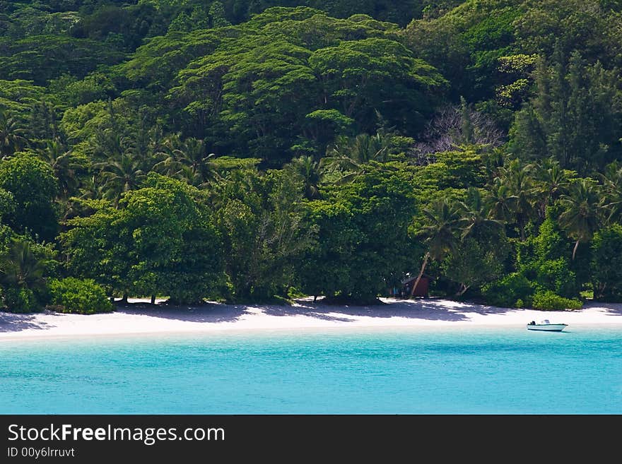 The beach at the Mahe island, Seychelles