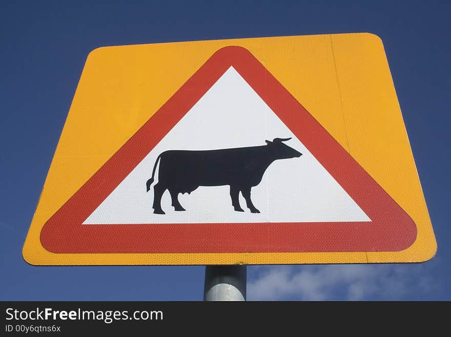 Cows Crossing Road Sign