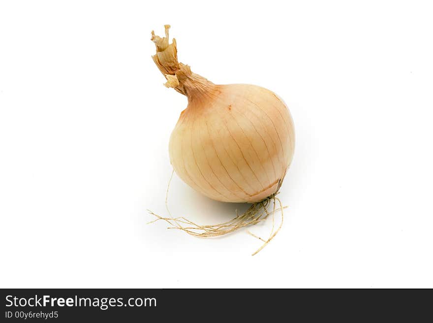 One onion isolated on white background