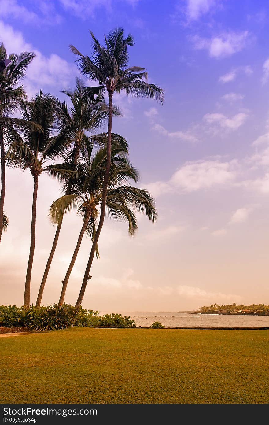 Beautiful Tropical Beach