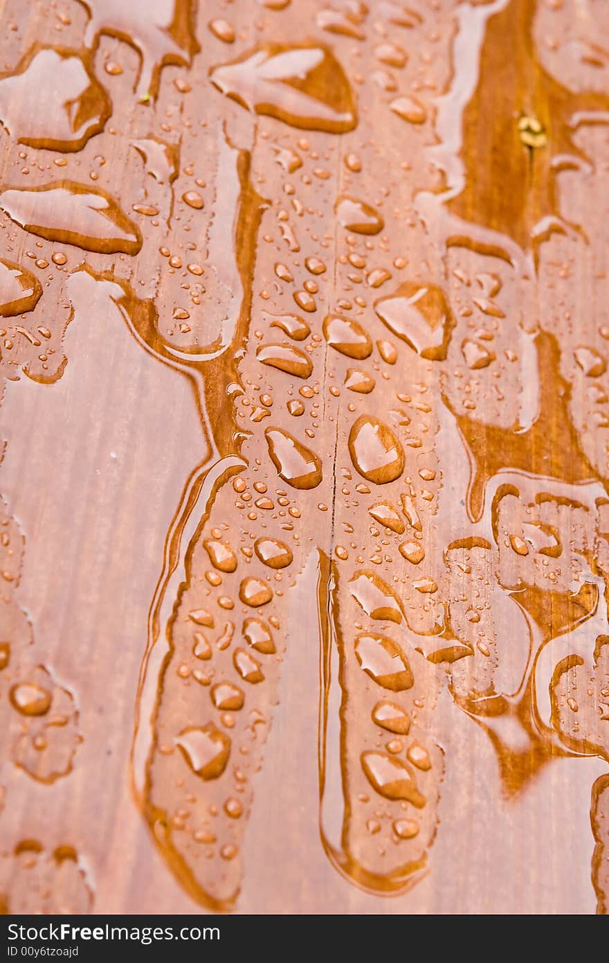 Rain Drops on a sealed wooden surface. Rain Drops on a sealed wooden surface