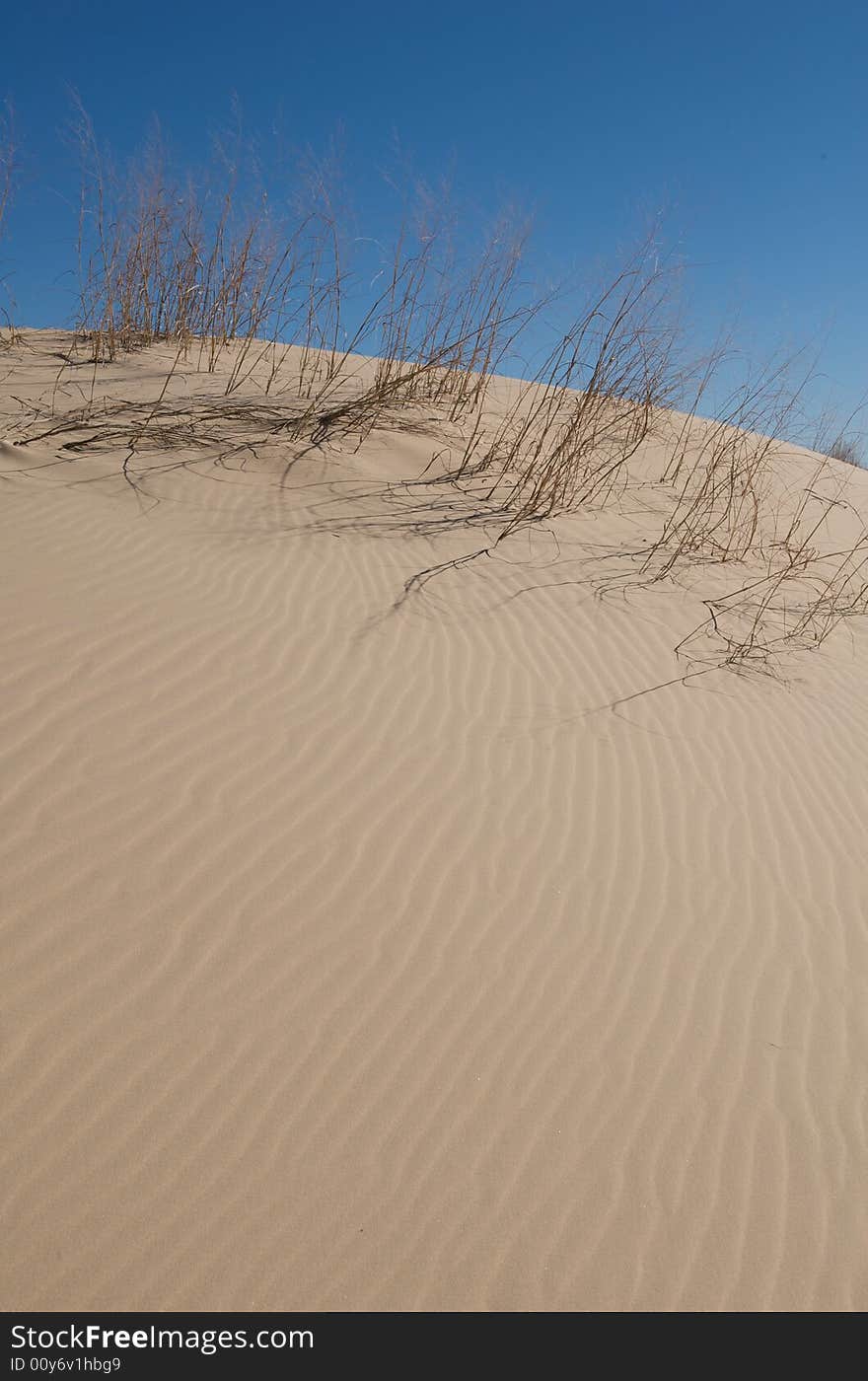 Sand Dunes With Tall Grass And A Blue Sky