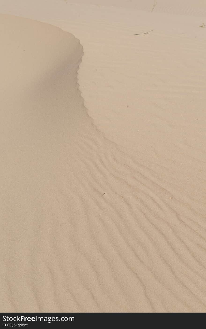 Rolling Texas sand dunes