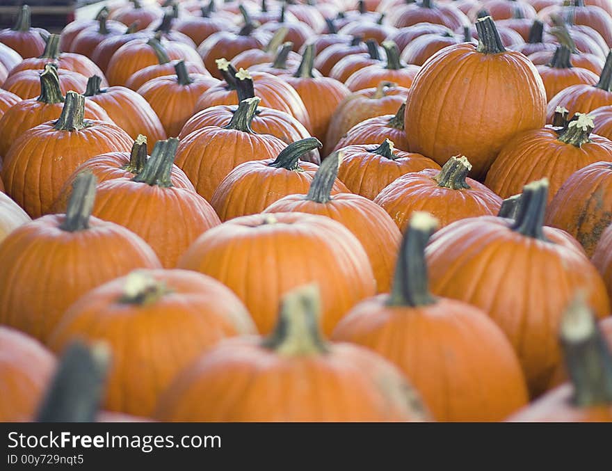 Many pumpkins at a farmer's market. Many pumpkins at a farmer's market