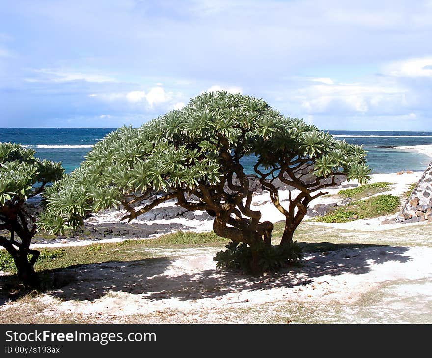 View of the ocean on the eastern part of Mauritius. View of the ocean on the eastern part of Mauritius