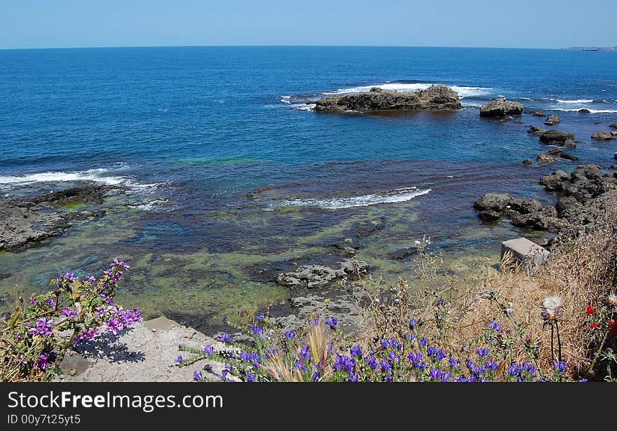 Waves breaking white on the rocky shore of the blue sea viewed behind blue, purple, and red wild flowers. Black sea shore. Waves breaking white on the rocky shore of the blue sea viewed behind blue, purple, and red wild flowers. Black sea shore.