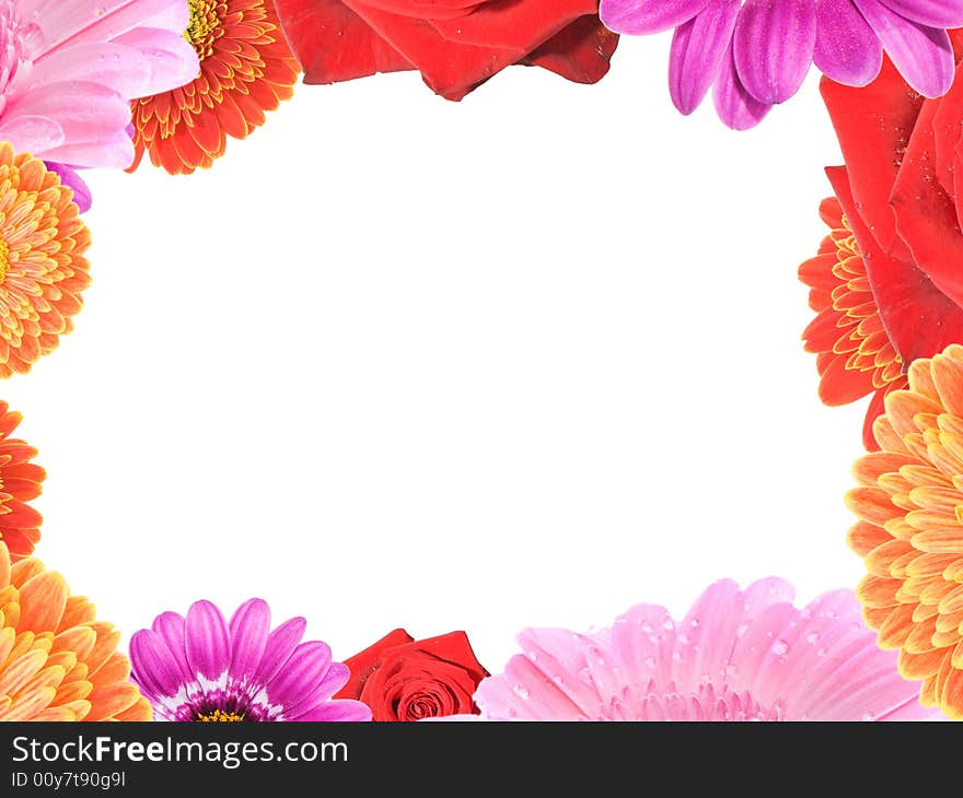 Frame with different colorful flowers on white background. Frame with different colorful flowers on white background