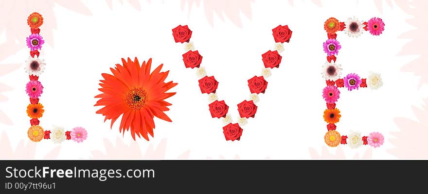 Love written with colorful flowers on white background. Love written with colorful flowers on white background.