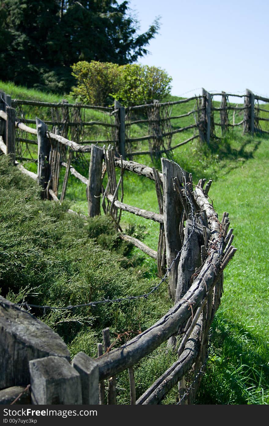 Old fence in the forest