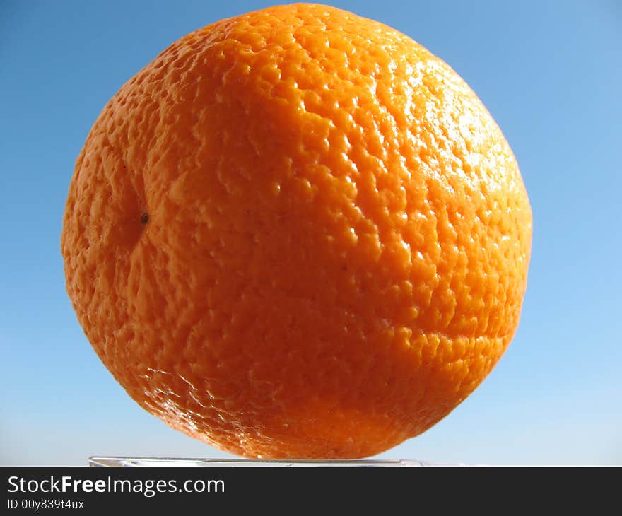 One orange on the blue sky background. Natural lighting.