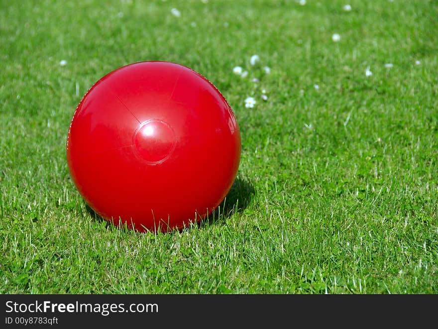 Beach Ball On Grass