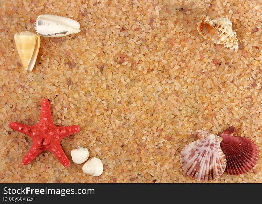 Starfish and cockleshells on seacoast, can be used as a background