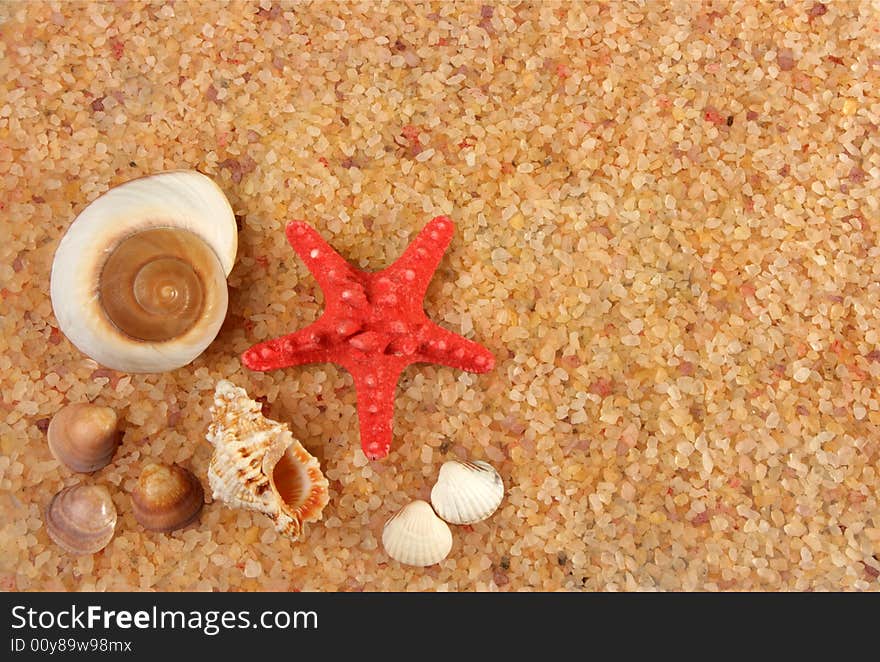 Starfish and cockleshells on seacoast, can be used as a background